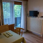 Appartamento Haus Kristall Bach (Tyrol)